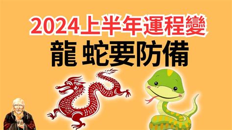 屬龍2024運勢|2024年属龙人的全年运势 属龙人2024年每月运势及运程详解